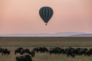 tanzania, paradise