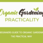 Practical ways of organic gardening