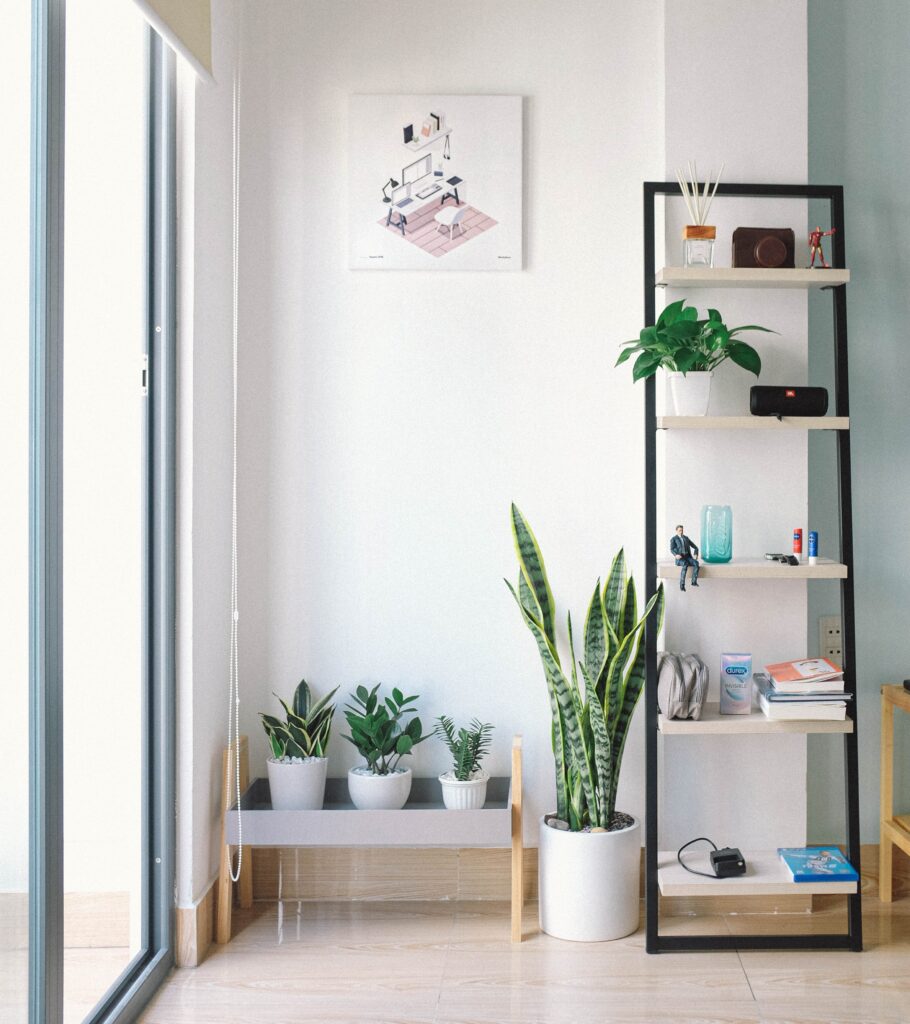 living room with plants